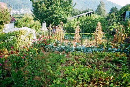 3. miesto - p. M. Zábojník